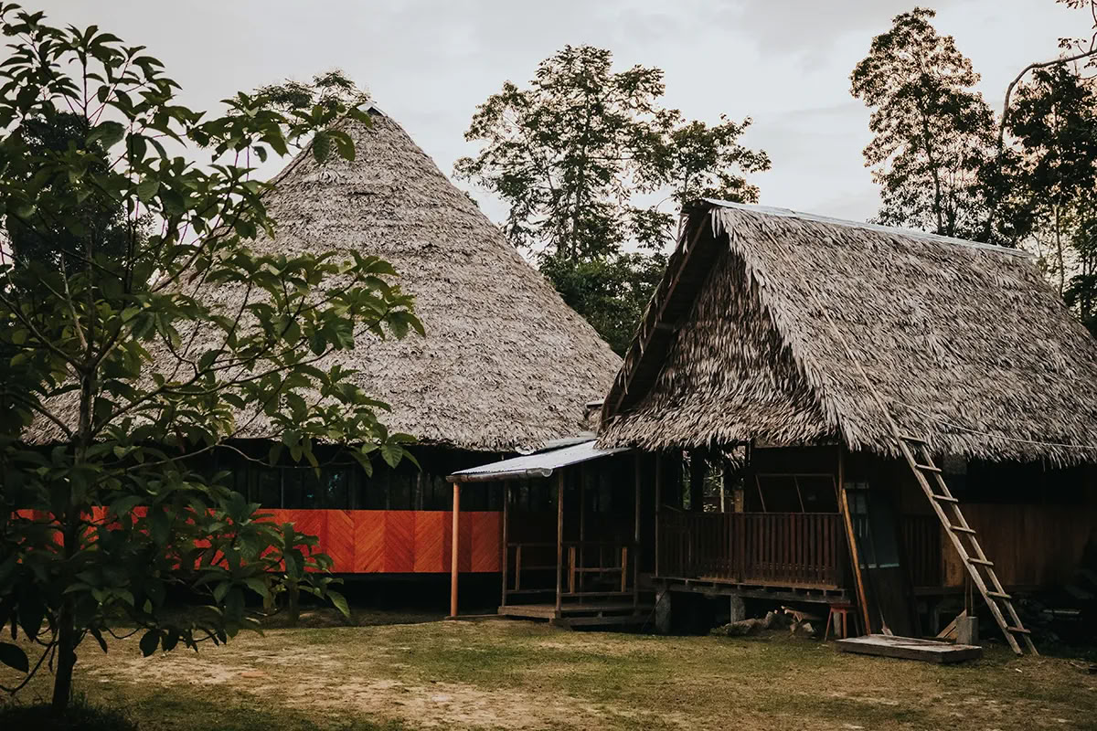 11-daagse ayahuasca-retreat in Peru – 31 augustus - 10 september 2026 | Shipibo-heling & integratie