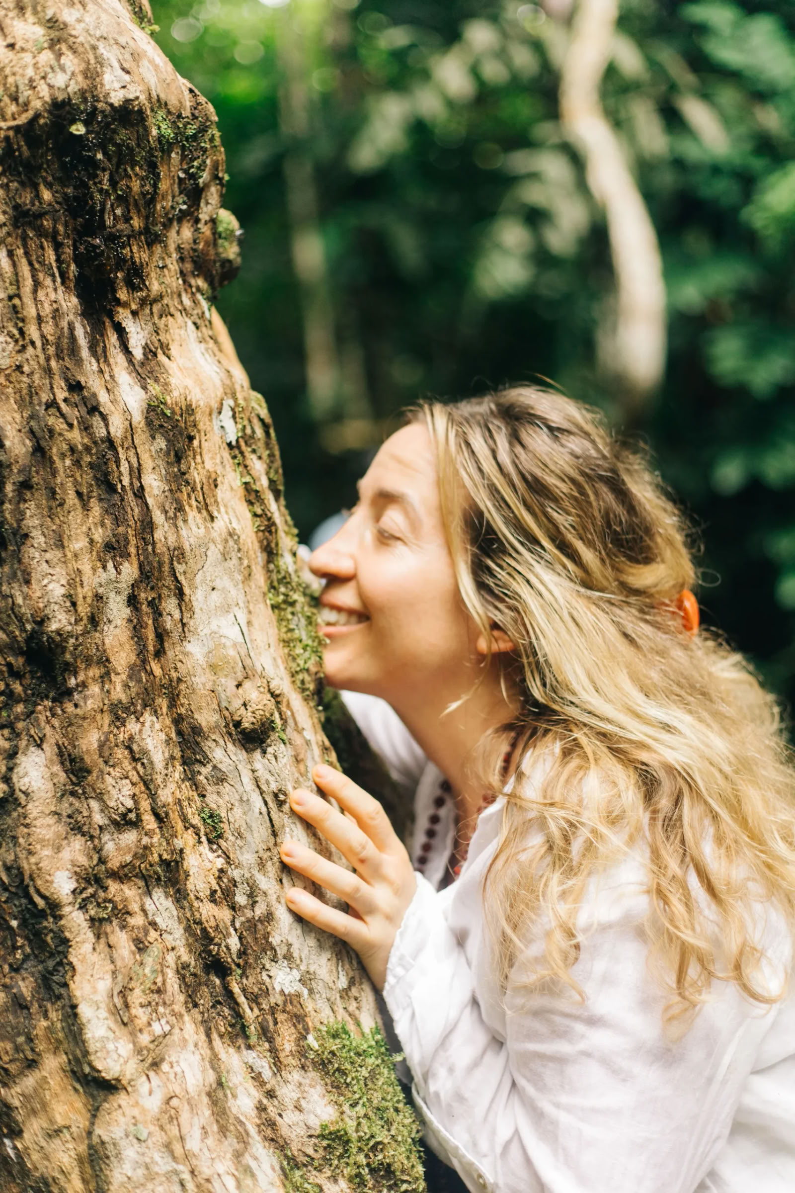 11-daagse ayahuasca-retreat in Peru – 31 augustus - 10 september 2026 | Shipibo-heling & integratie