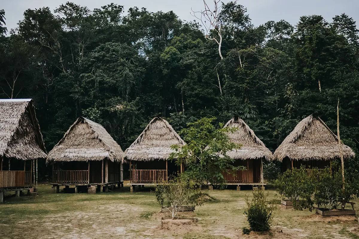 11-daagse ayahuasca-retreat in Peru – 18 - 28 september 2026 | Shipibo-genezing & integratie