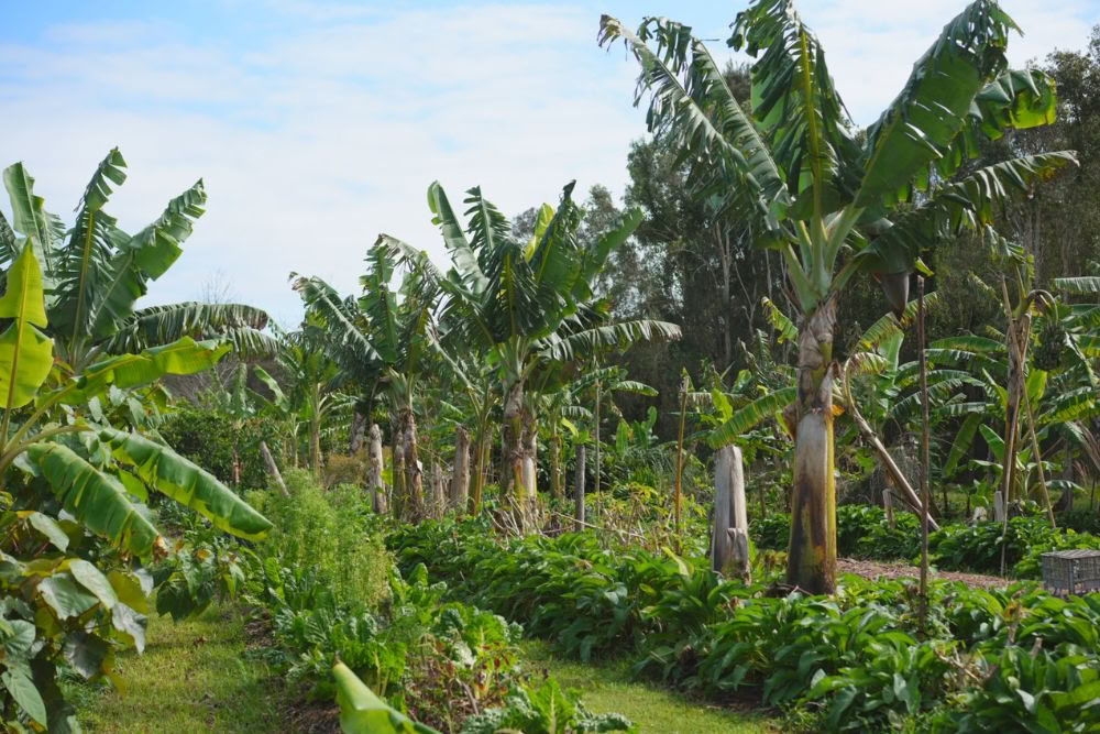 7-daagse winteryogaretraite