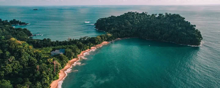 Dagtrip naar Manuel Antonio (een dagtrip vanuit San José)