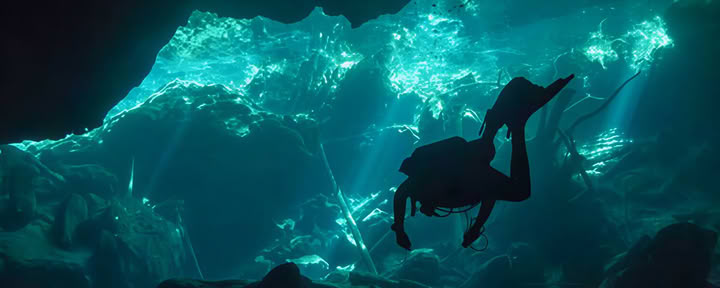 Grotduiker