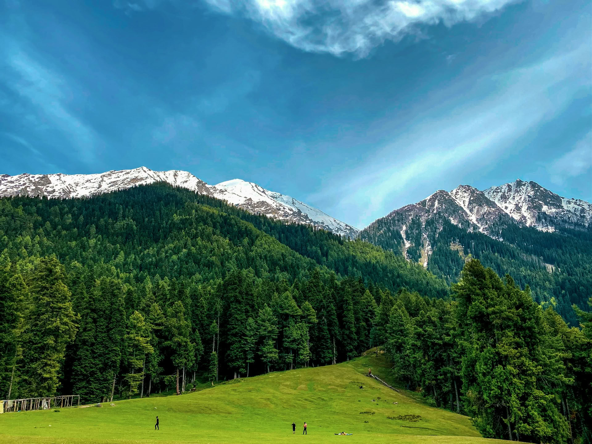 Dal Dreams & Bergdagen: Een Kenmerkende Kashmir-ervaring