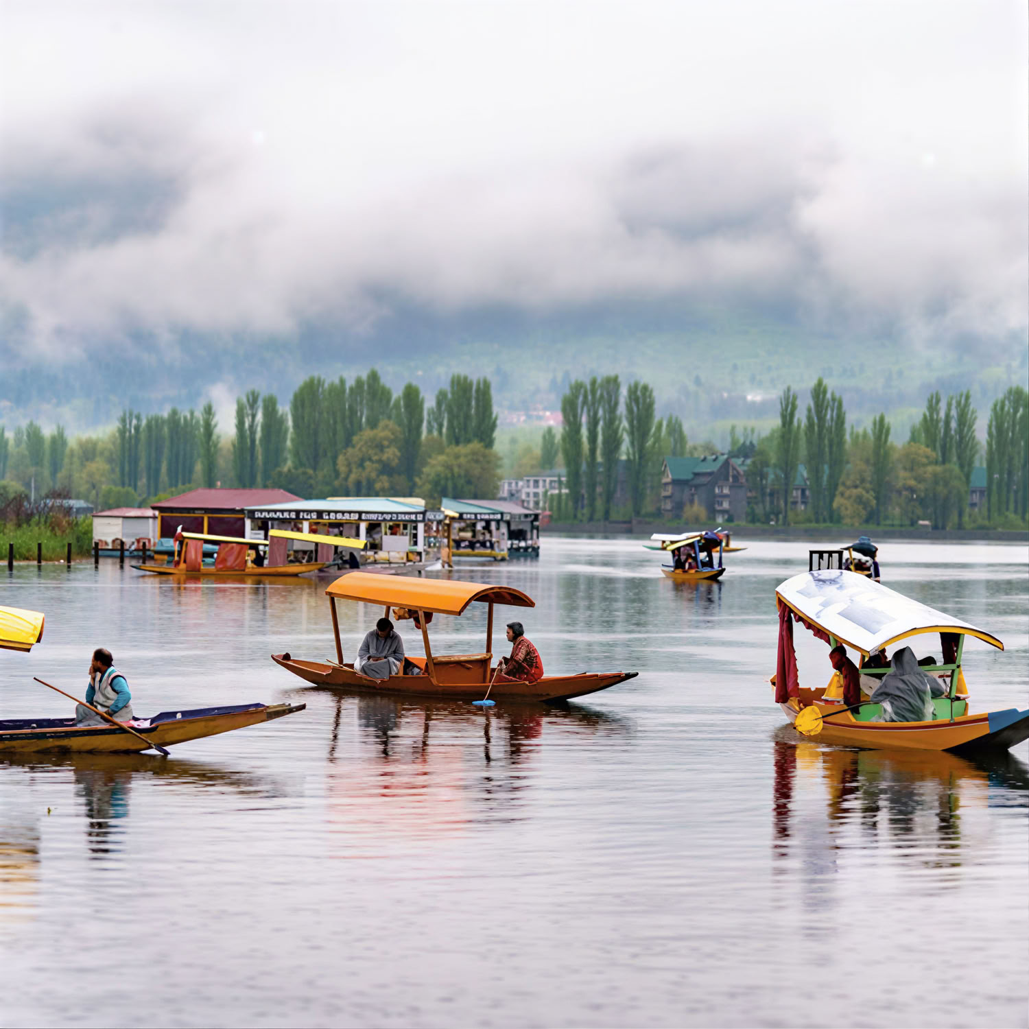 Gouden Weiden: Alpiene Ontsnapping van Srinagar naar Sonmarg