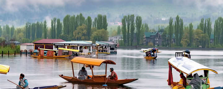 Gouden Weiden: Alpiene Ontsnapping van Srinagar naar Sonmarg