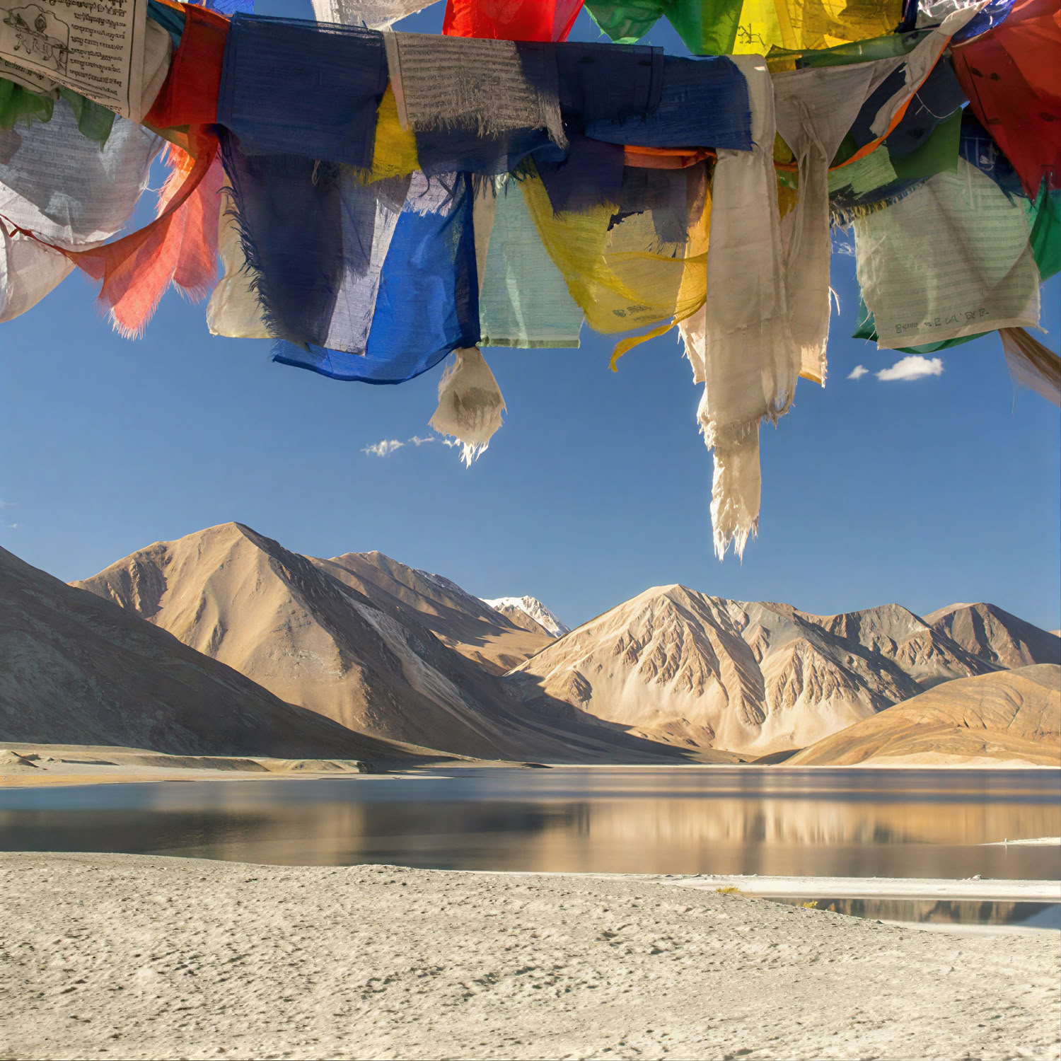 Van het paradijs naar het plateau: roadtrip van Kashmir naar Ladakh