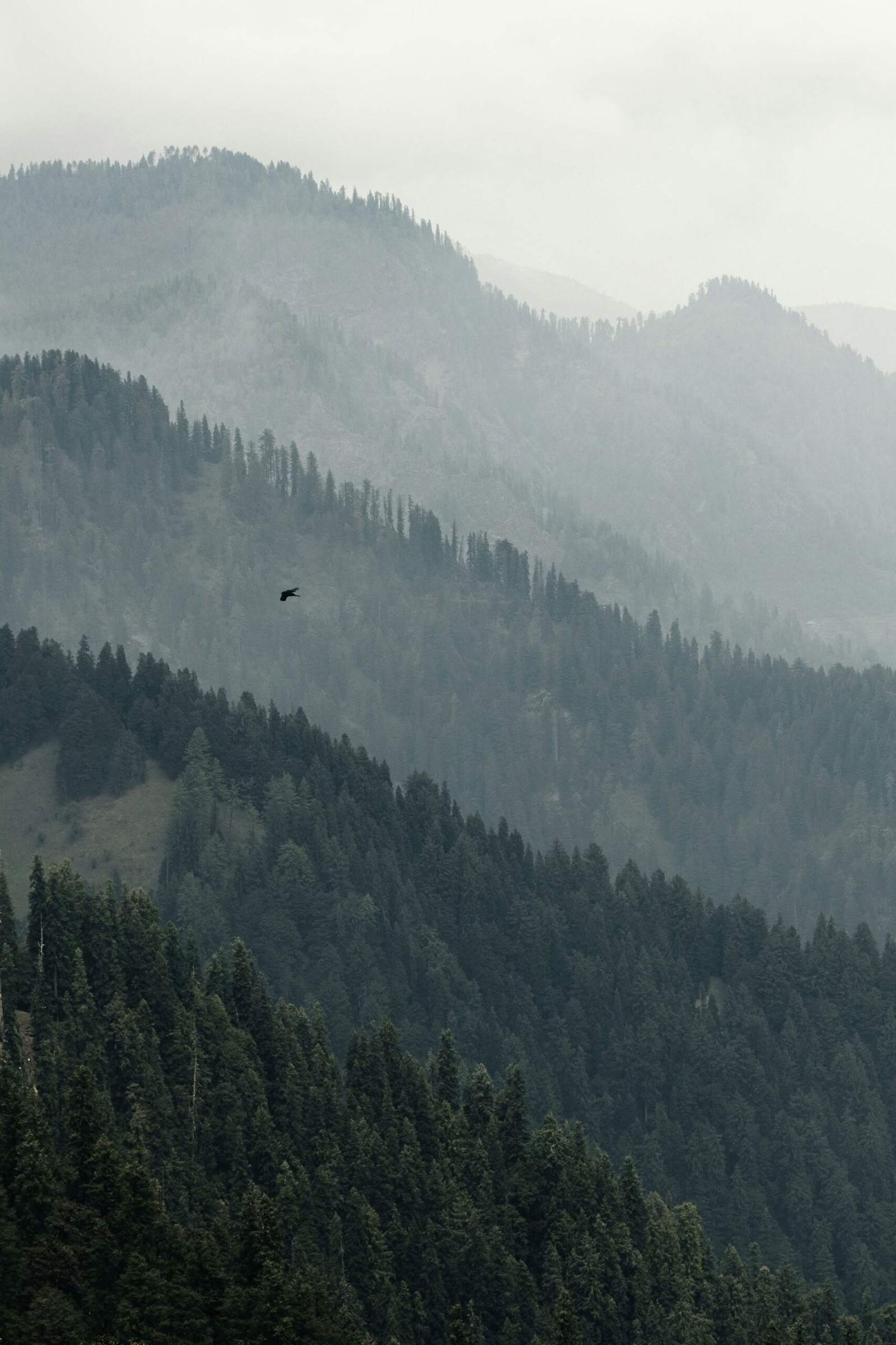 Van boomgaarden naar alpenvalleien: Thanedar & Sangla Himalaya-reis