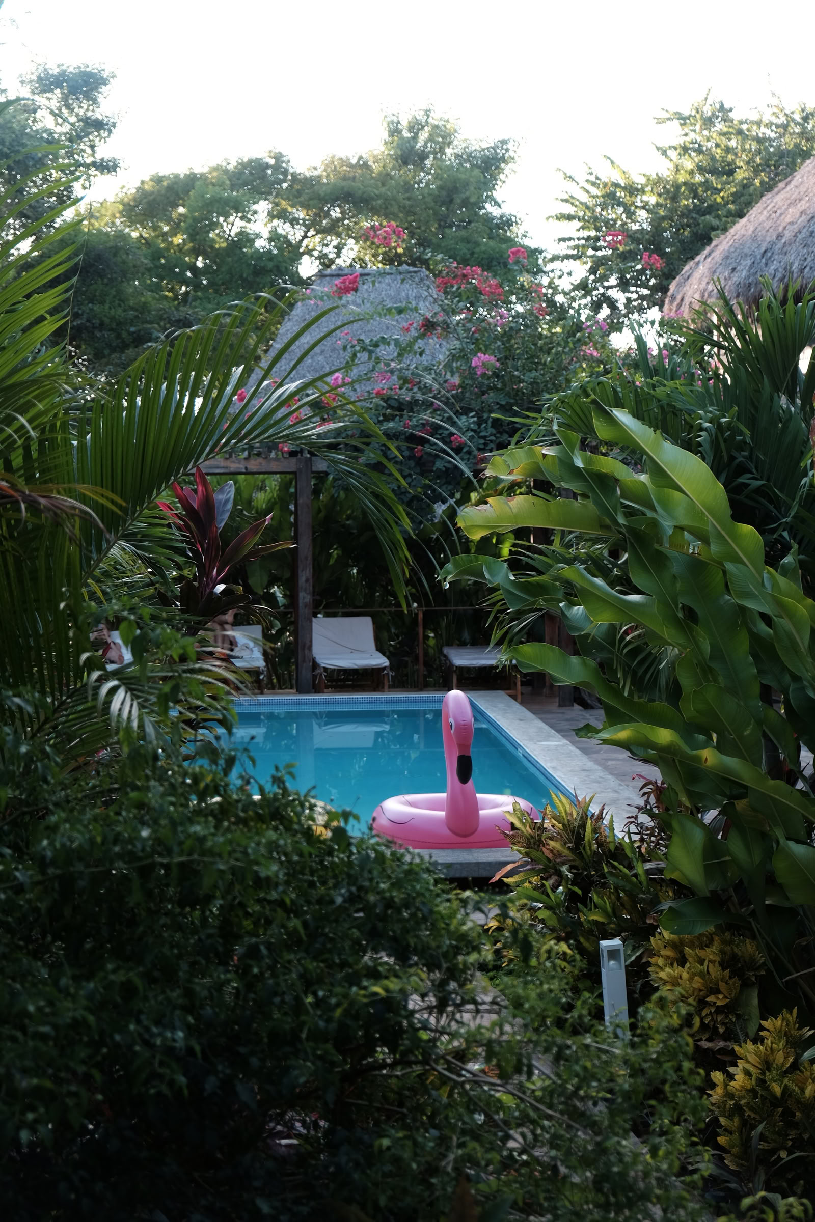 Sol Space Yoga Retraite