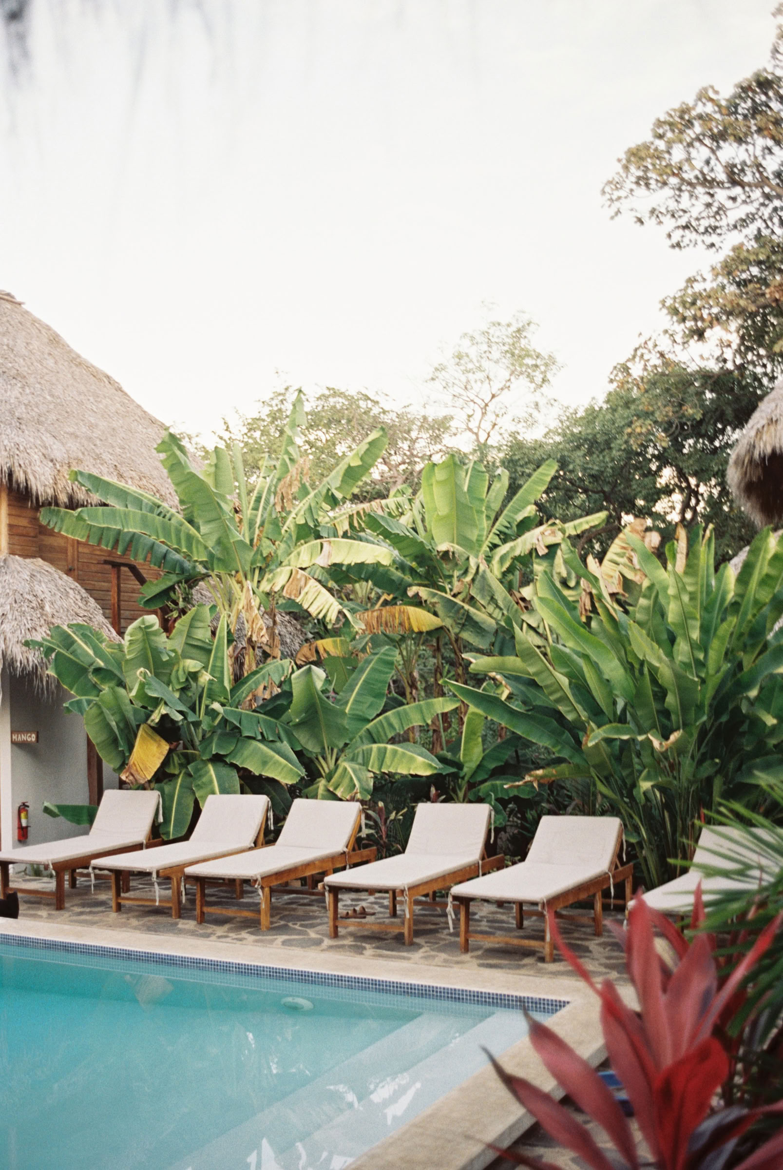 Yoga-retraite in het wilde Nicaragua