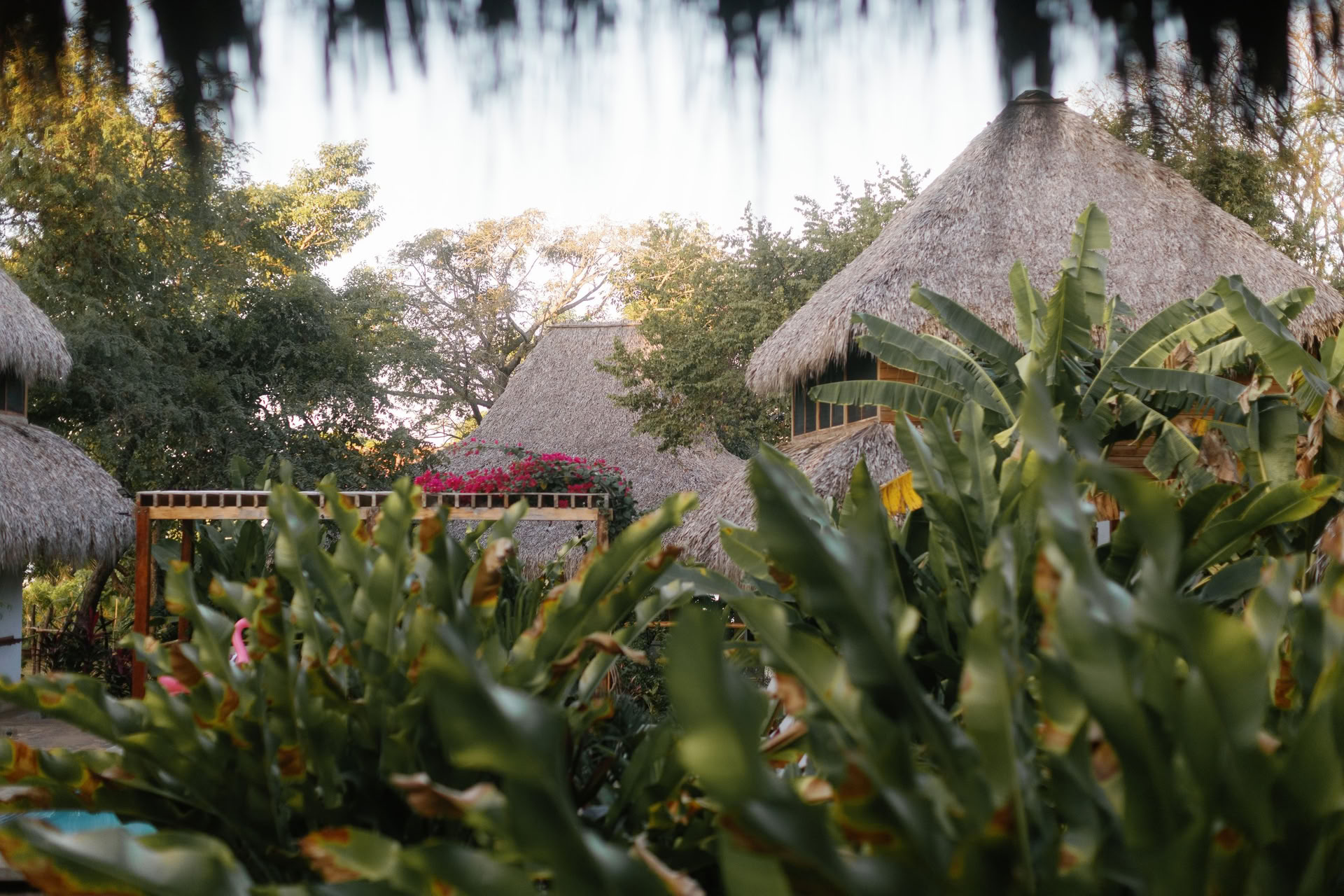 Yoga-retraite in het wilde Nicaragua