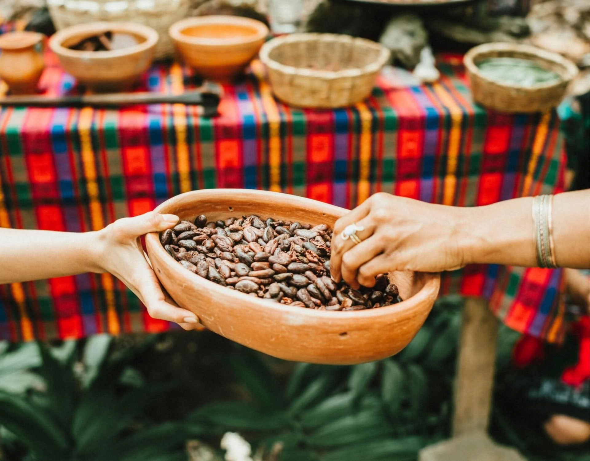 Cacaobrontraining