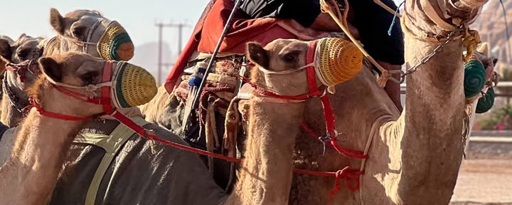 Woestijnavontuur in Wadi Rum, Jordanië