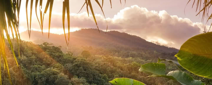 Dagtocht naar Nationaal Park Manuel Antonio