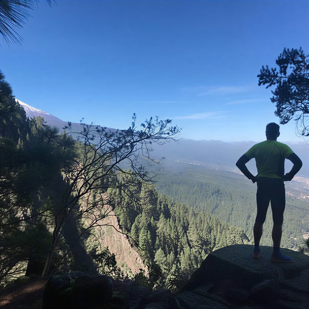 Yoga of meditatie & wellnesspauze in Noord-Tenerife – 07 sep – 21 okt 2026