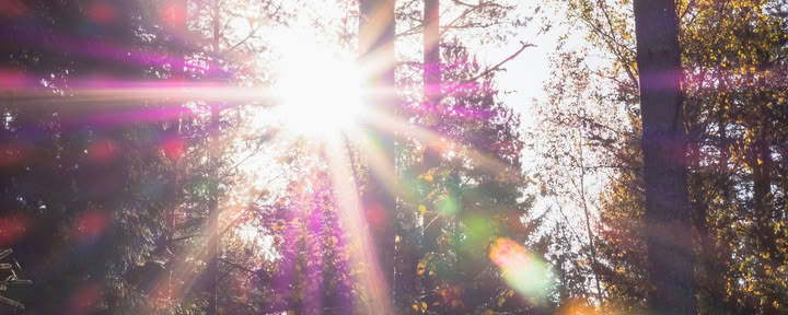 Sistertalk Retreats - Late Zomergloed: Mineralen/Natuur Element Retreat — Wild Nature Retreats