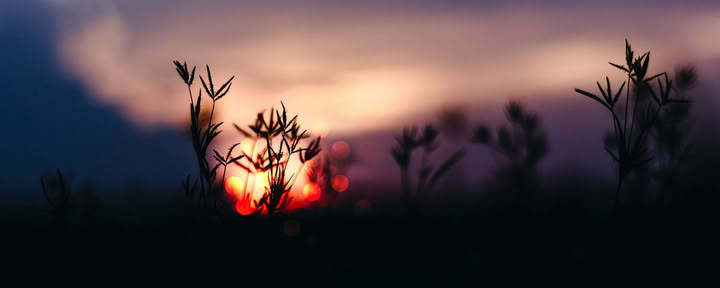 Zonnewende-retraiteserie: Herfst-equinoxviering met Erin Moe — Wild Nature Retreats
