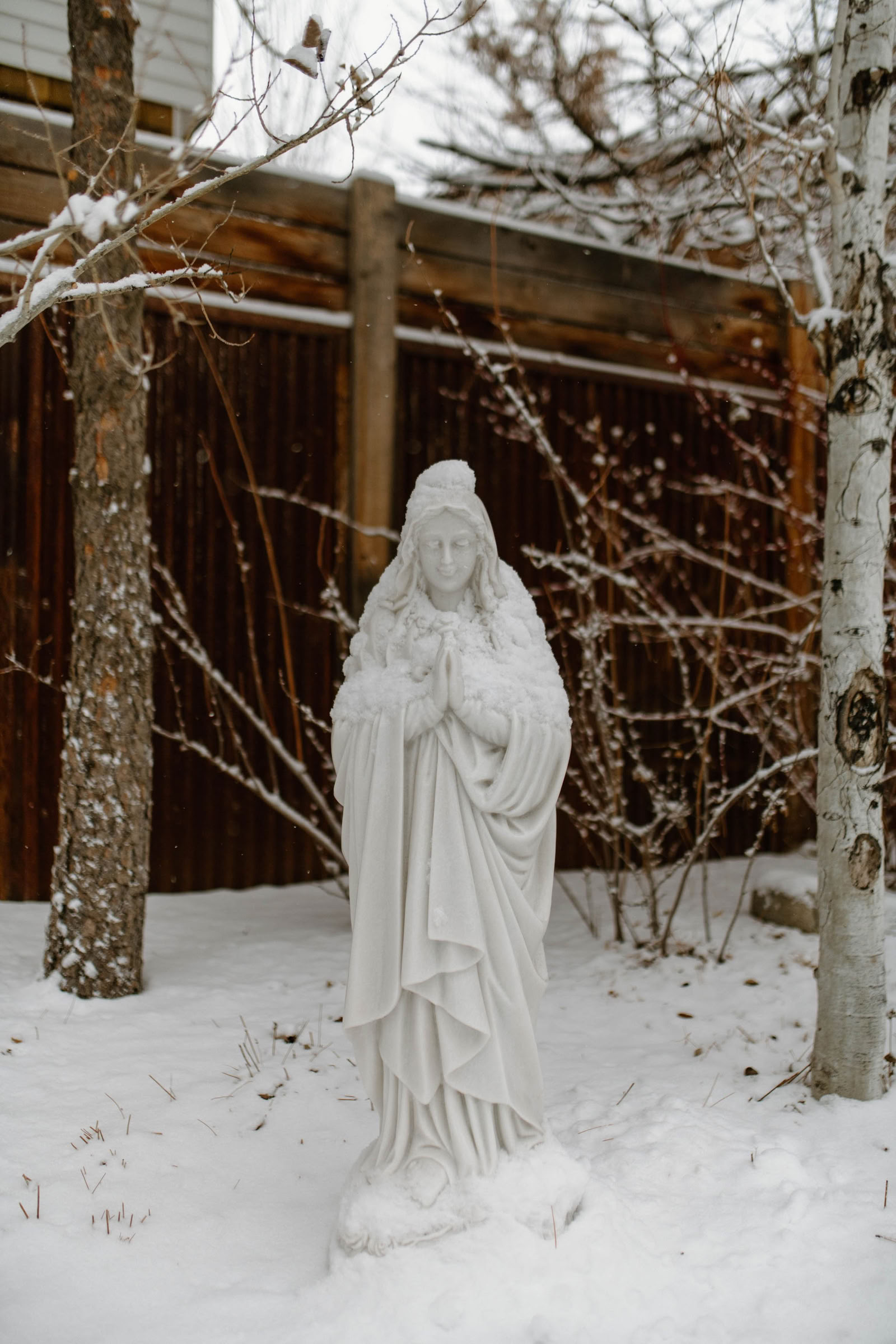 Rode Draad: Internationaal Qigong Instituut | Ware Natuur - Carbondale, CO