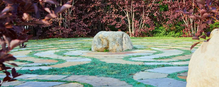 Rode Draad: Internationaal Qigong Instituut | Ware Natuur - Carbondale, CO