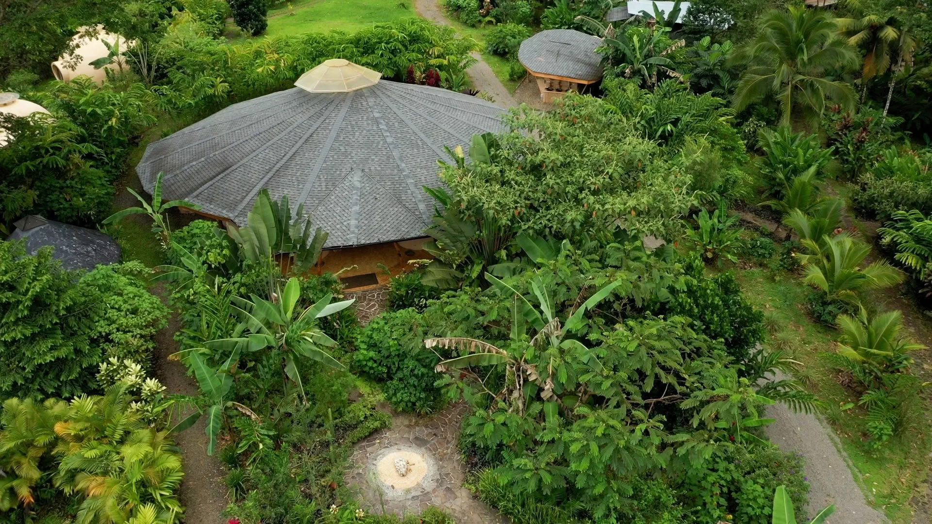 IPSALU Tantra Kriya Yoga I Niveau 2 Cobraademhaling — Brave Earth