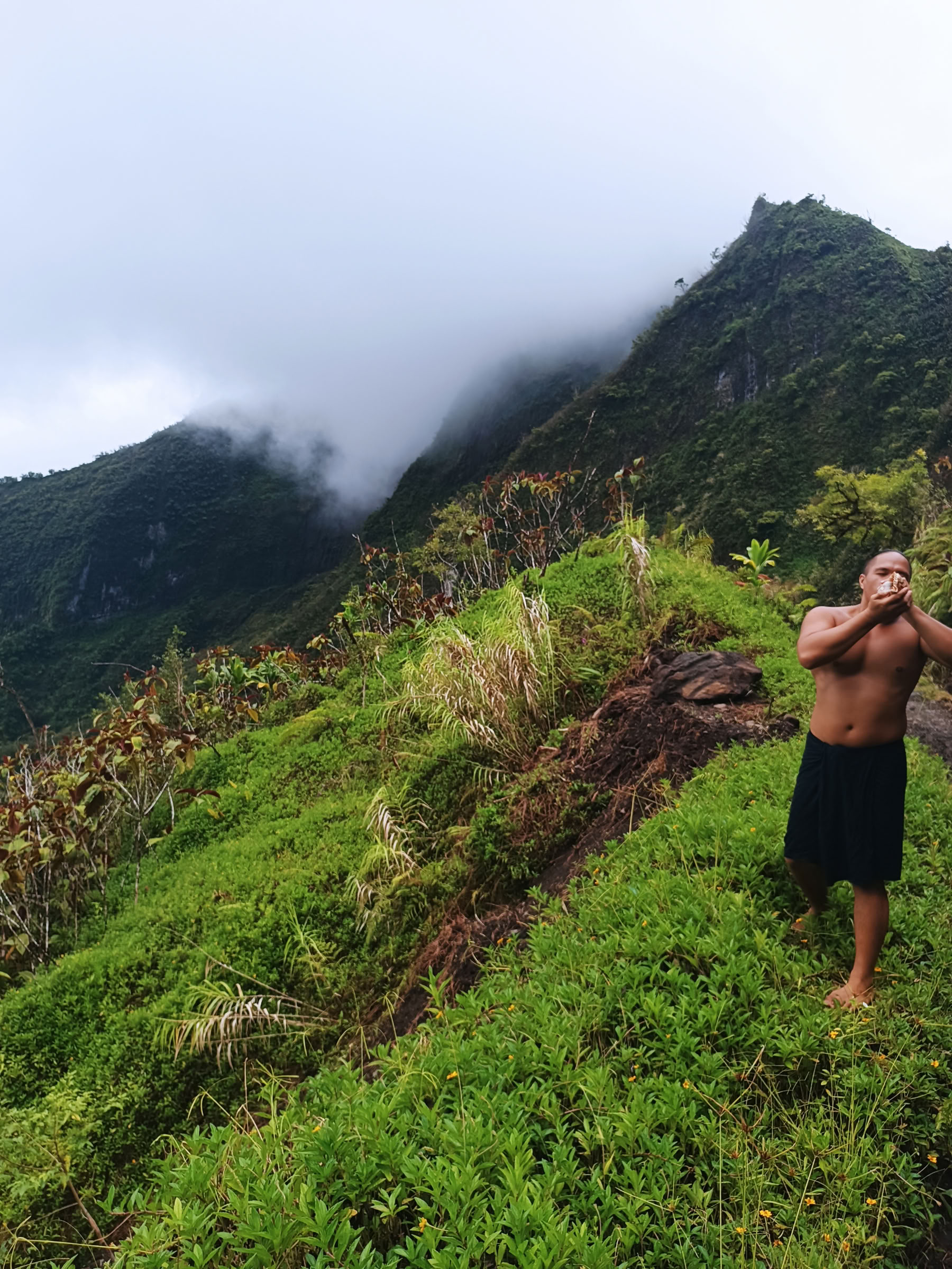 Te Mana Nui Safari Tour
