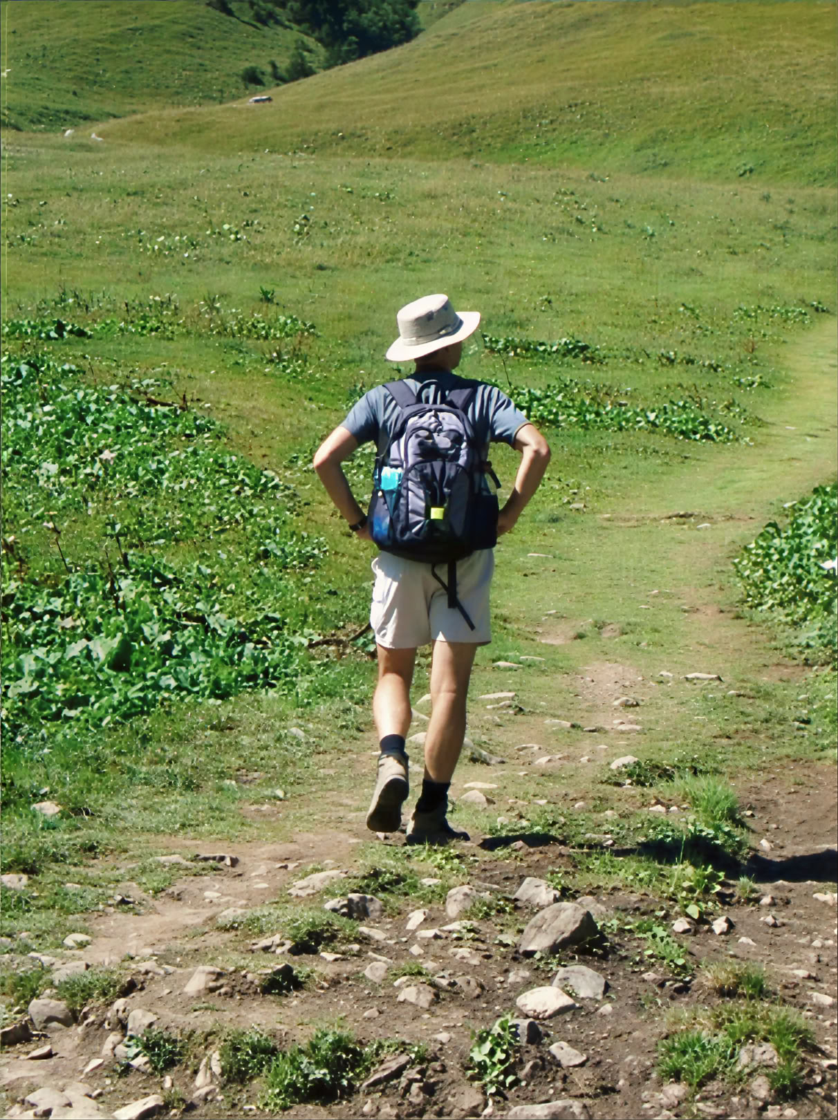 Wandelretreat voor welzijn