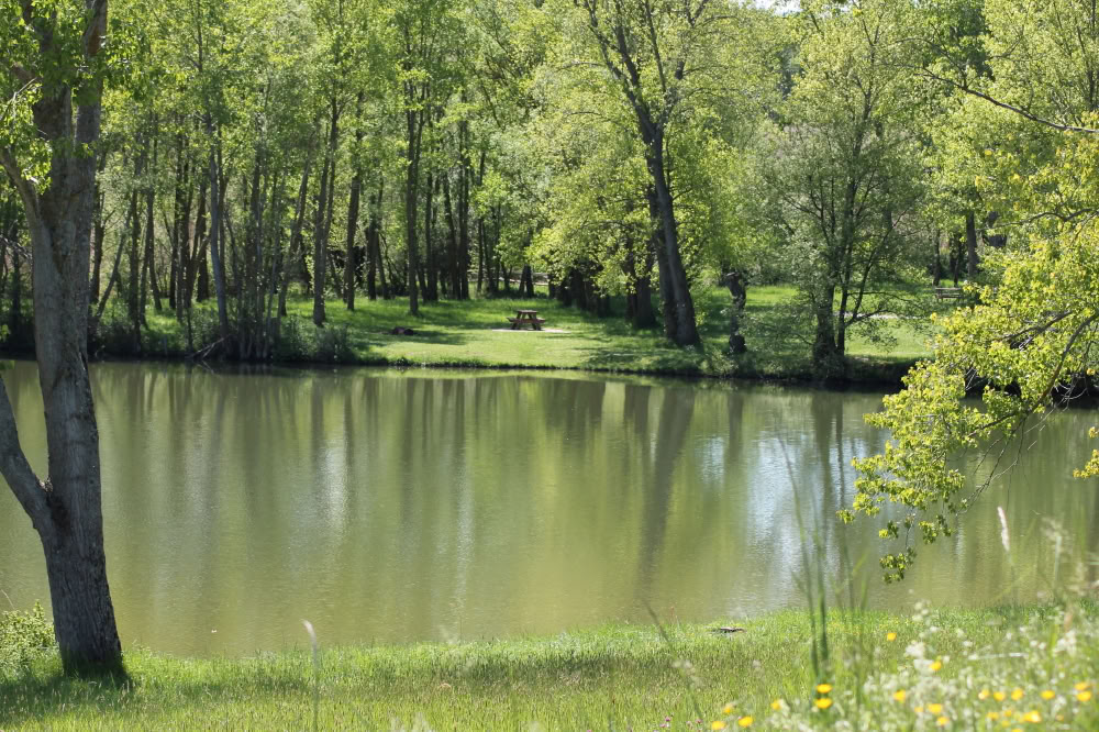 Wandelretreat voor welzijn