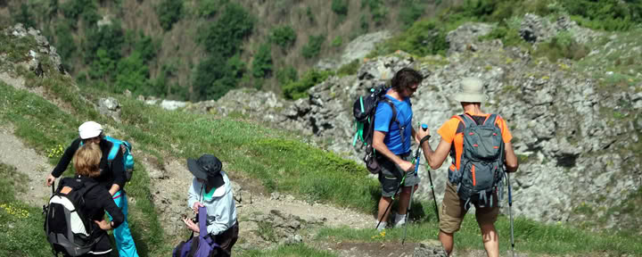 Wandelretreat voor welzijn
