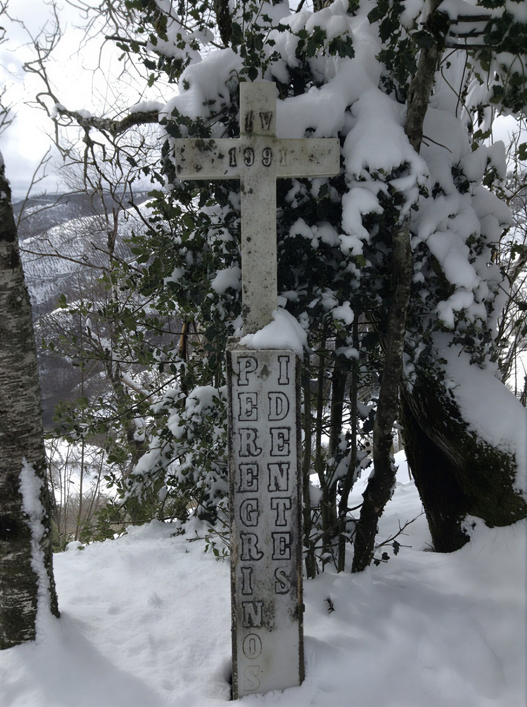 7-daagse Camino-droomtrainingretreat voor langeafstandswandelaars