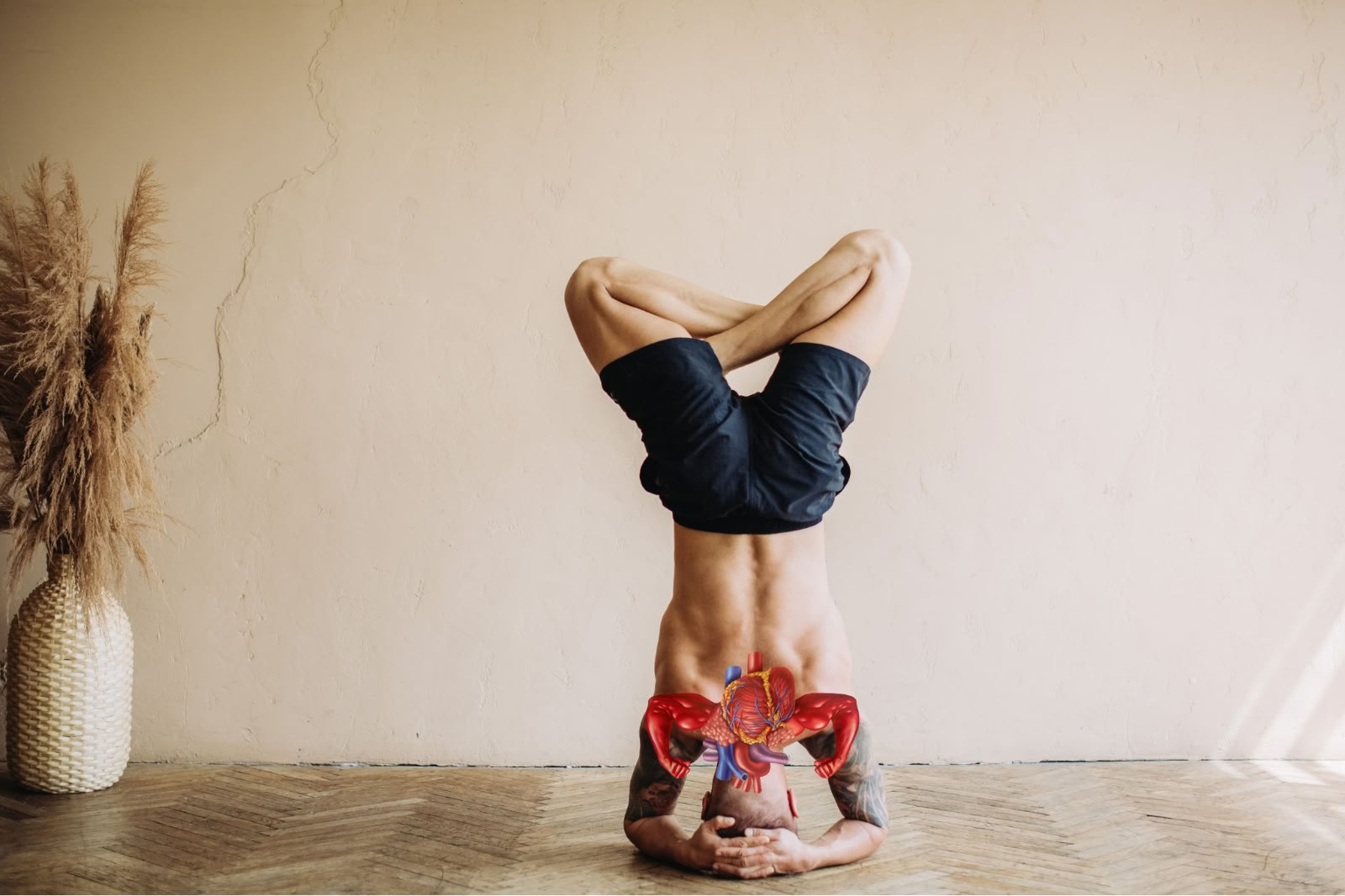 Yogatherapie voor de gezondheid van de luchtwegen (Cardio-Breath Fusion)