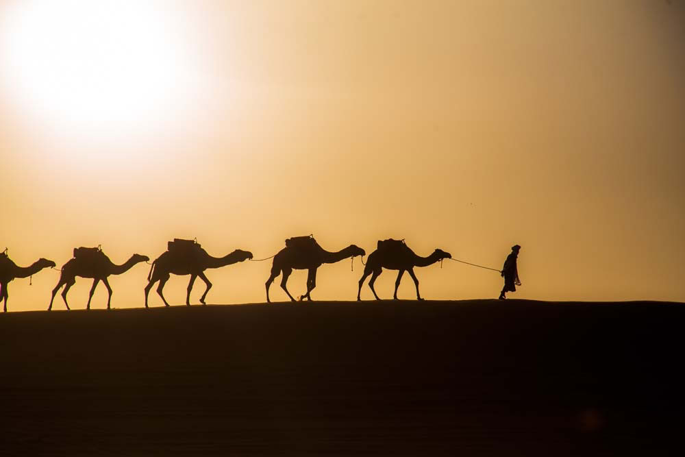 4-daagse tour van Casablanca naar Marrakesh via de woestijn