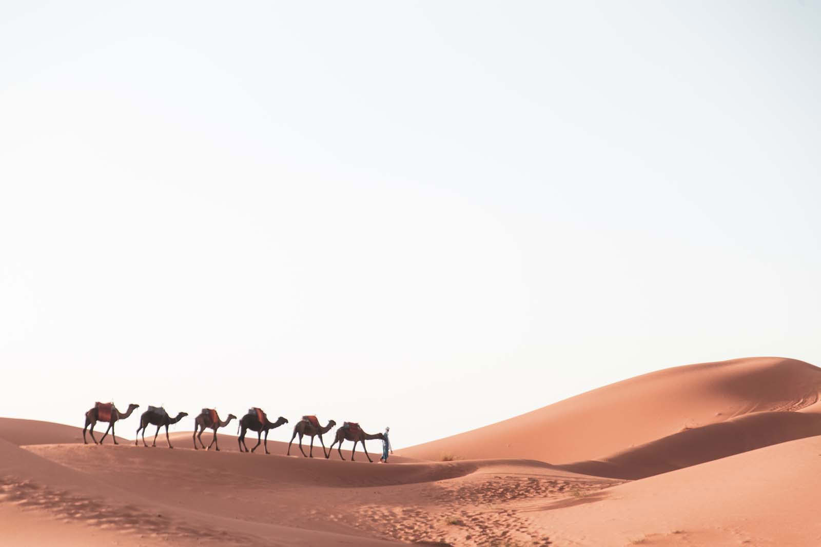 6 dagen authentieke woestijntour vanuit Marrakech