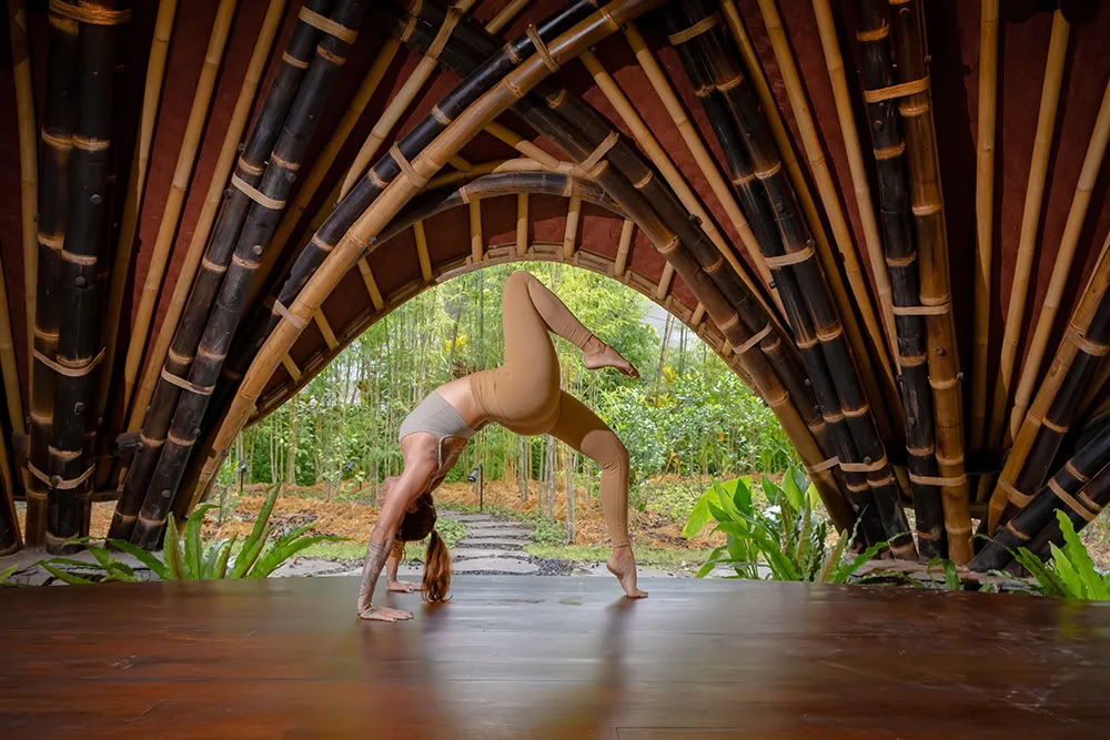 Vaidika Dharma: 100-uurs SPIRIT-yogaleraarstraining