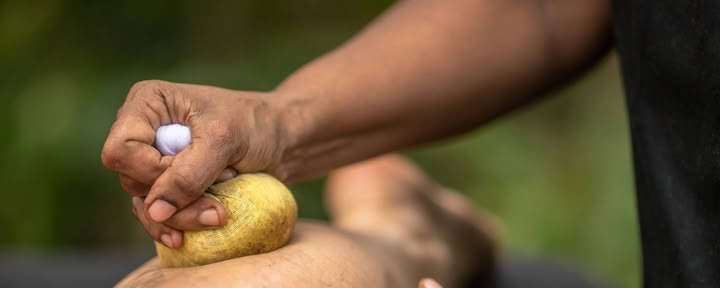 10-daagse cursus: word een Ayurveda-therapeut, Sri Lanka