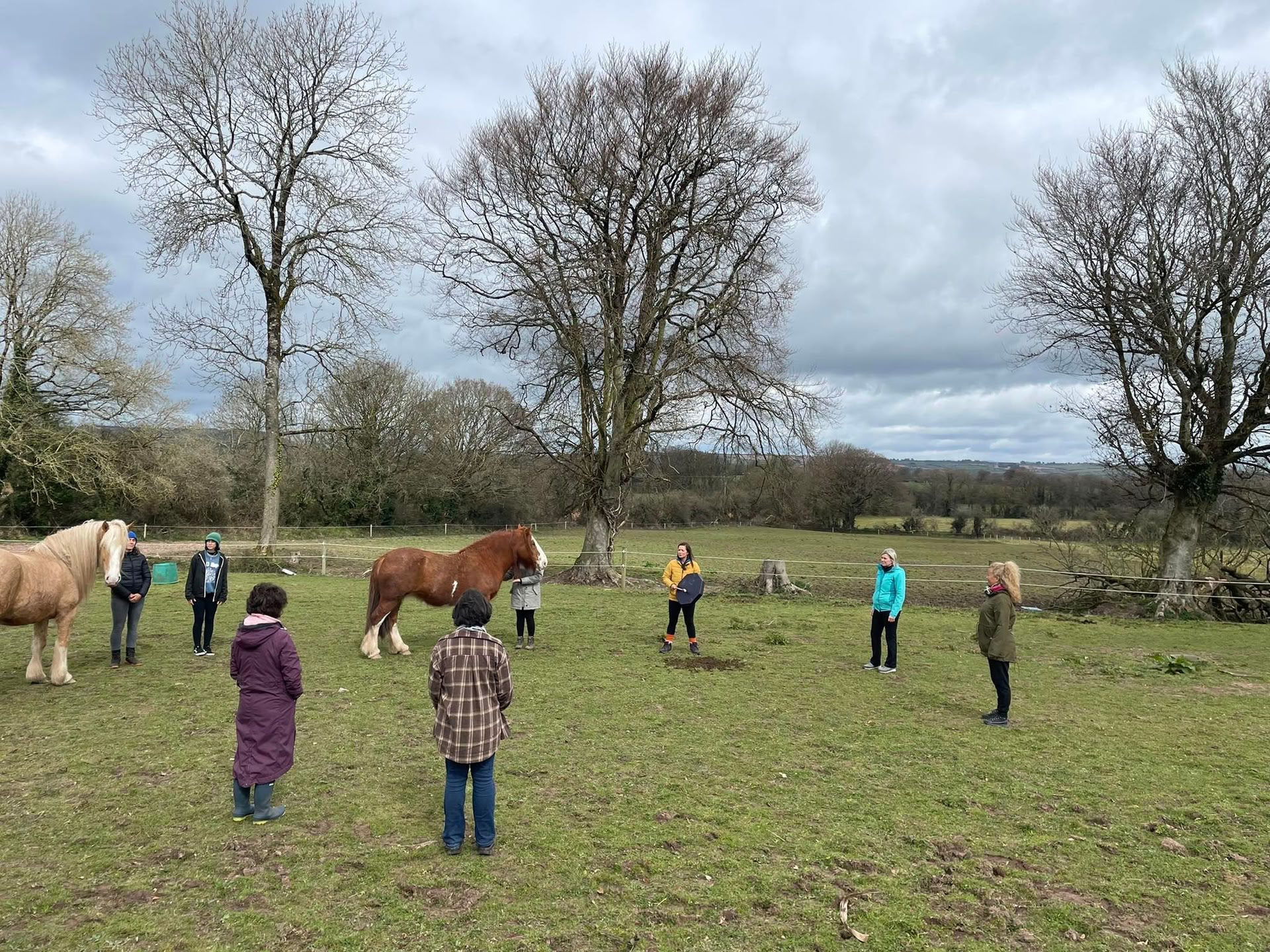 Zelfliefderetraite met de paarden
