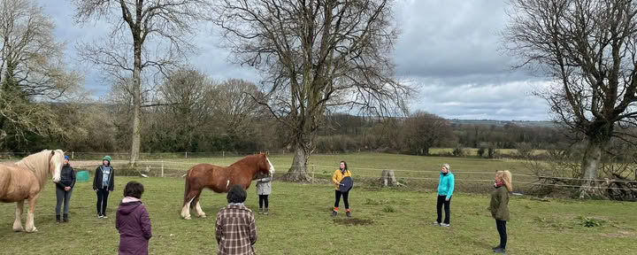 Zelfliefderetraite met de paarden