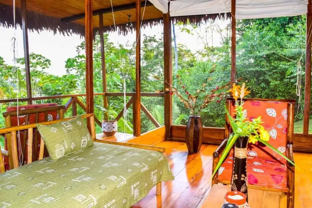 5-daagse ayahuasca- en san pedro-retreat