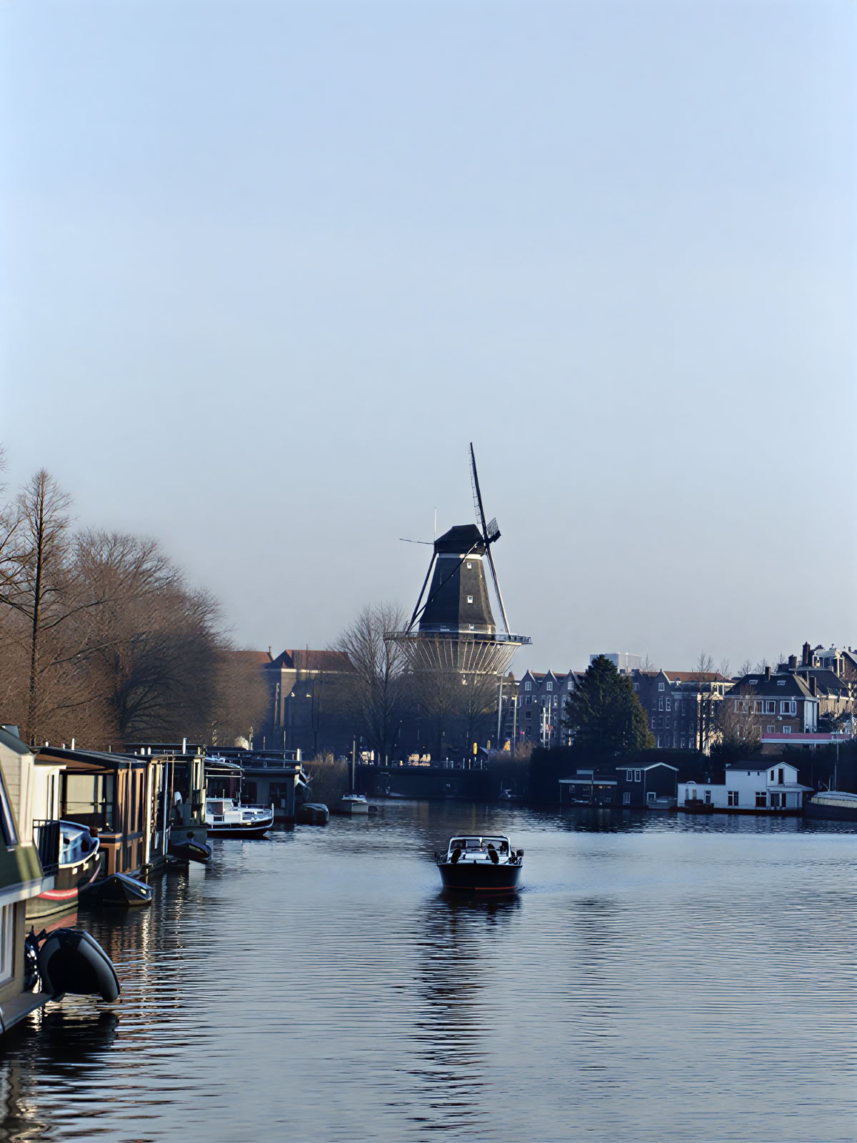 21-daagse privé psilocybine microdosering retraite Amsterdam