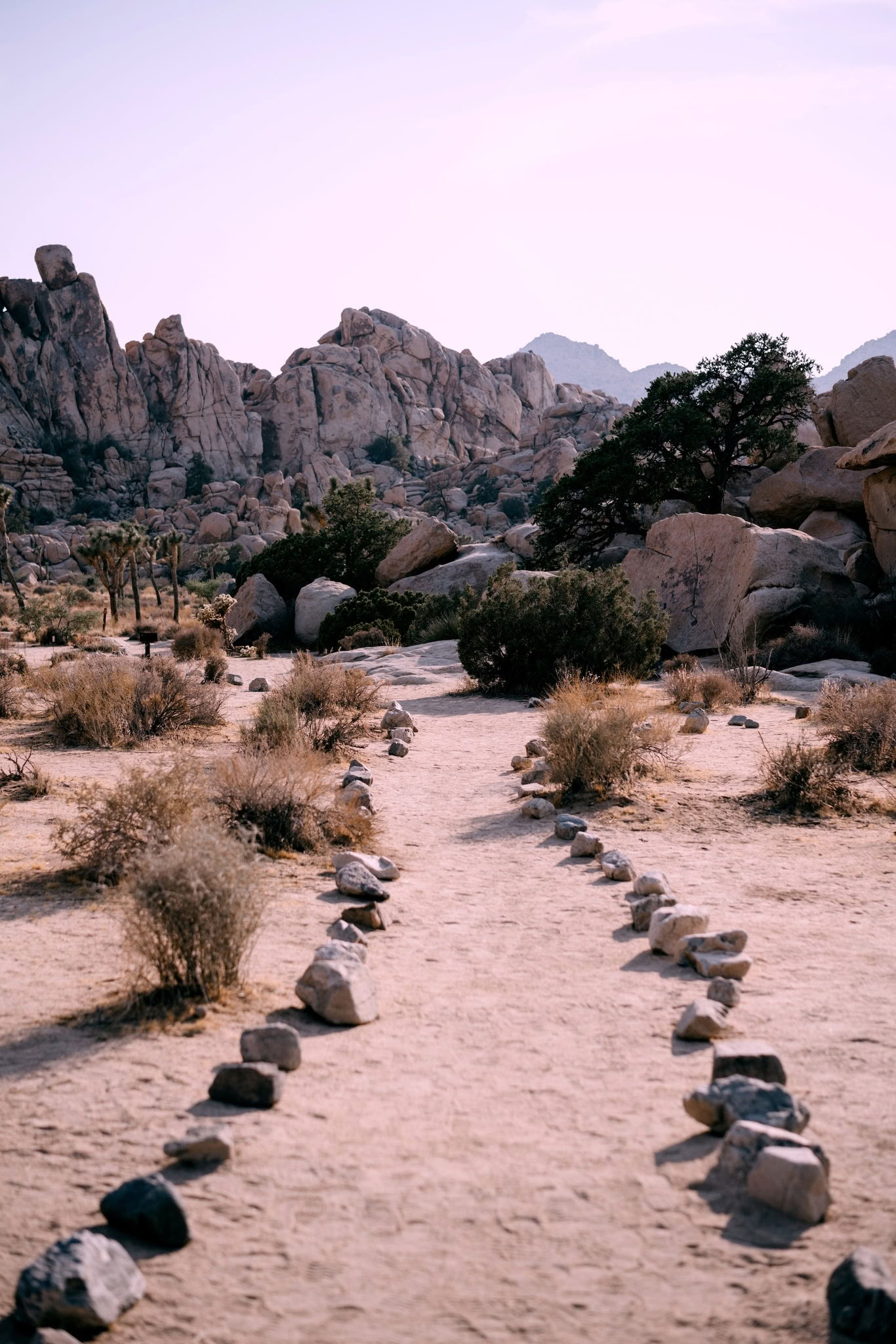 Hemelse Zelfontdekking - Palm Springs