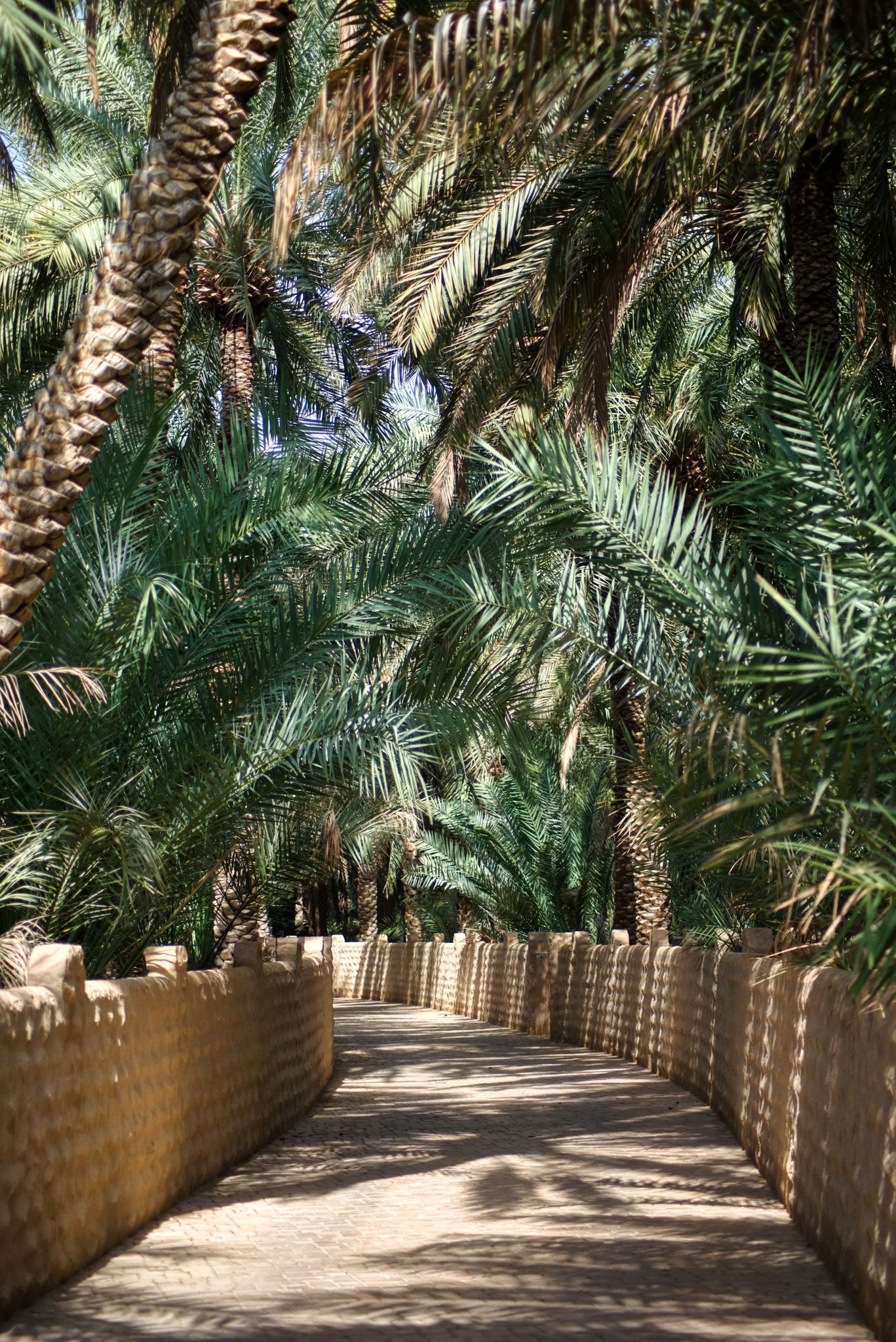 Specerijeneiland-ervaring - Palm Springs