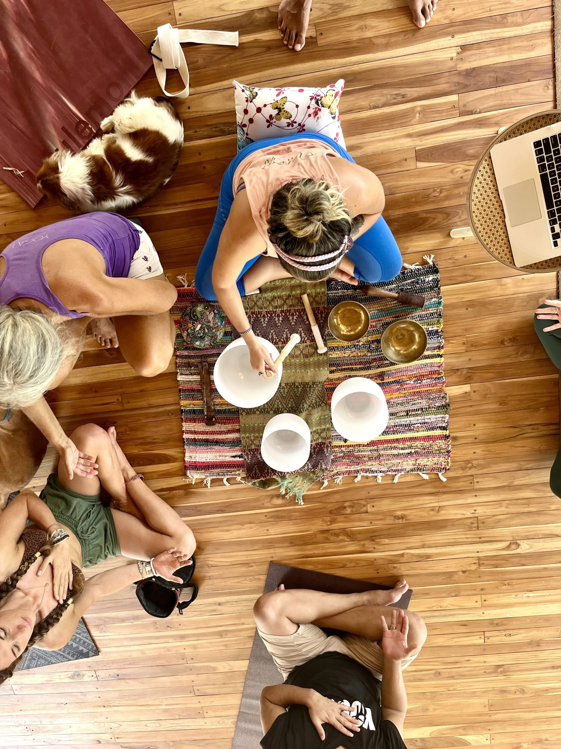Ademwerktraining: Practitioner- en Lerarentraject – 30 aug 2026 – 2 sep 2026