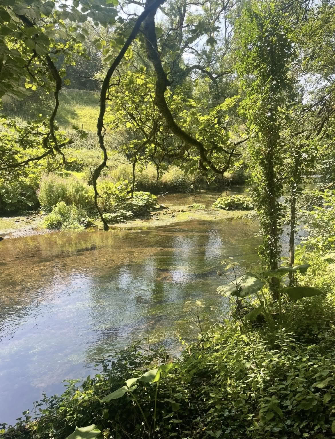 1-4 juni Maatwerk emotionele helingsretreat