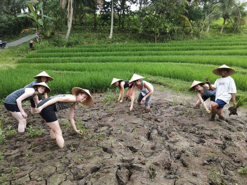 BALIGRASS - Zelfgenezing met het Oude & Meditatie