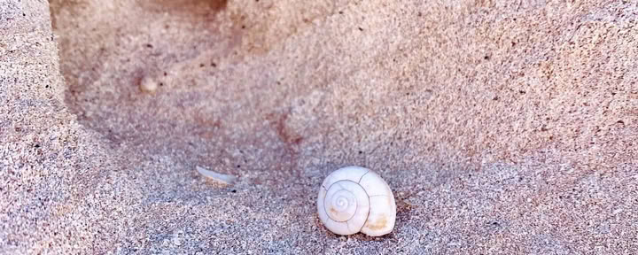 Solo-retreat: Visie van mijn ziel