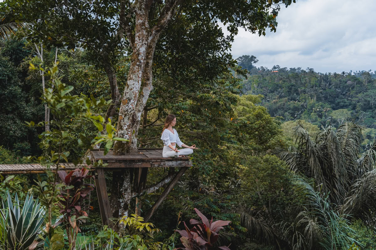 200-uurs/300-uurs hybride yogadocentenopleiding – 26 nov. – 9 dec. 2026