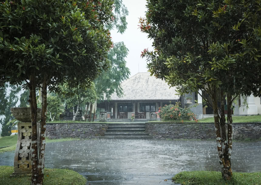 200-uurs/300-uurs hybride yogadocentenopleiding – 24 dec. 2026 – 6 jan. 2027