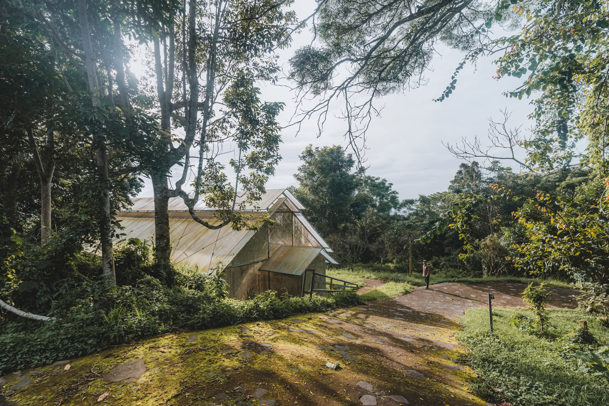 200-uurs/300-uurs hybride yogadocentenopleiding – 24 dec. 2026 – 6 jan. 2027