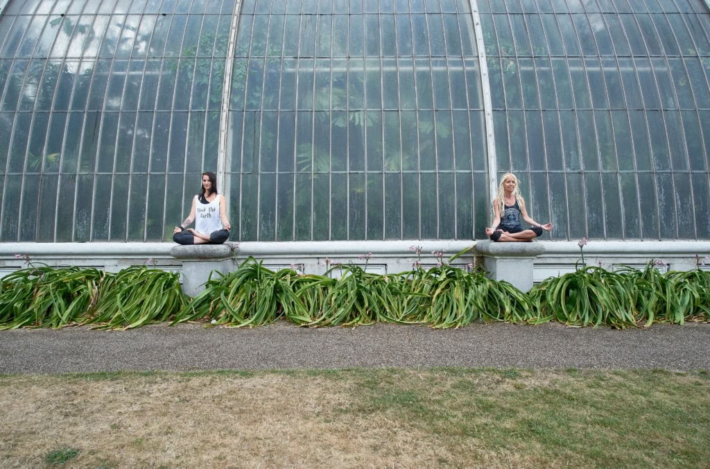 Access Consciousness-therapieën op Medicine Festival