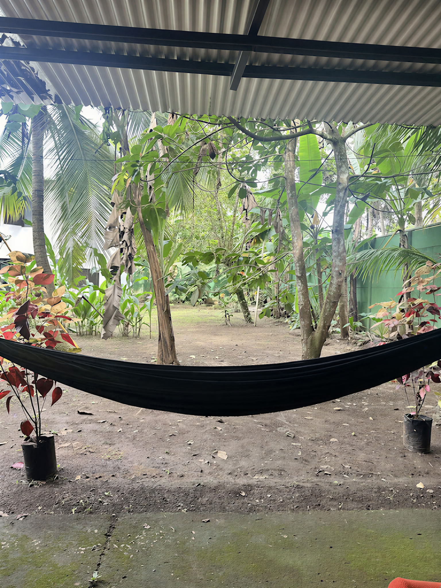 Thuisheiligdom Ayahuasca-retraite – 22 - 29 augustus