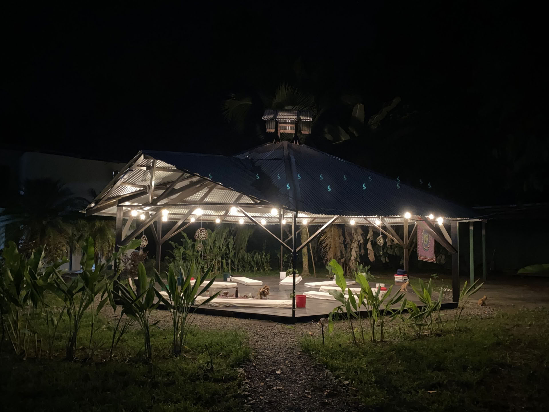 Thuisheiligdom Ayahuasca-retraite – 7 - 14 november