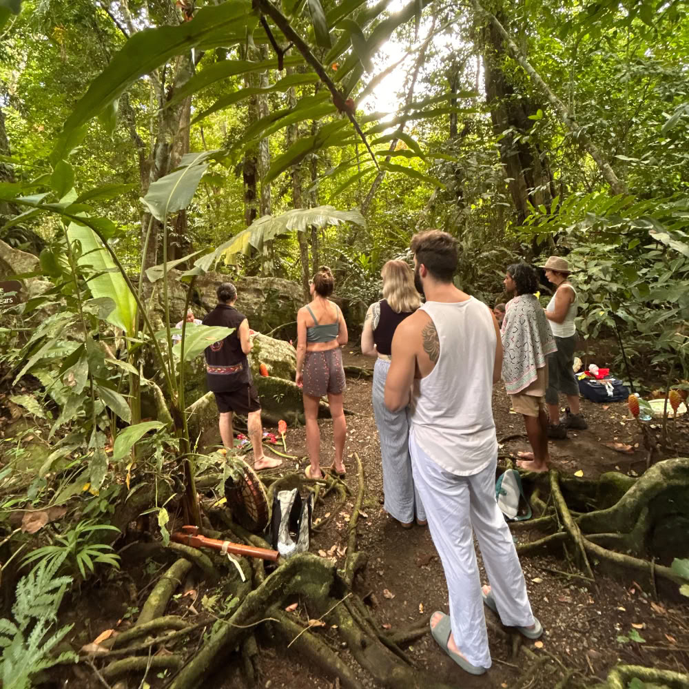 Shipibo helingsretreat